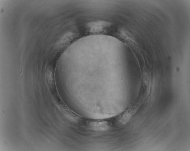 X0000064040375200601271208