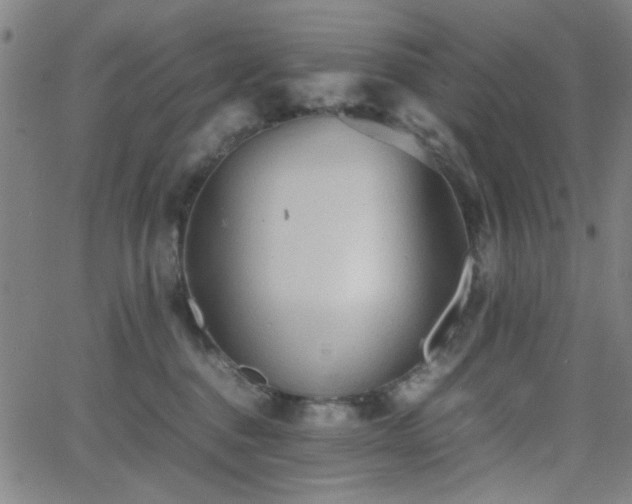 X0000064040376200601271208