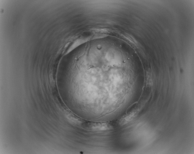 X0000064040377200601271208