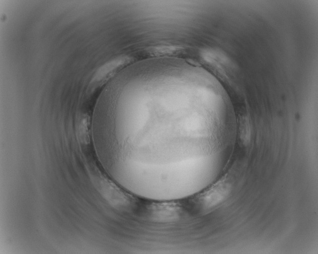 X0000064040378200601271208