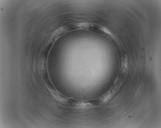 X0000064040379200601271208