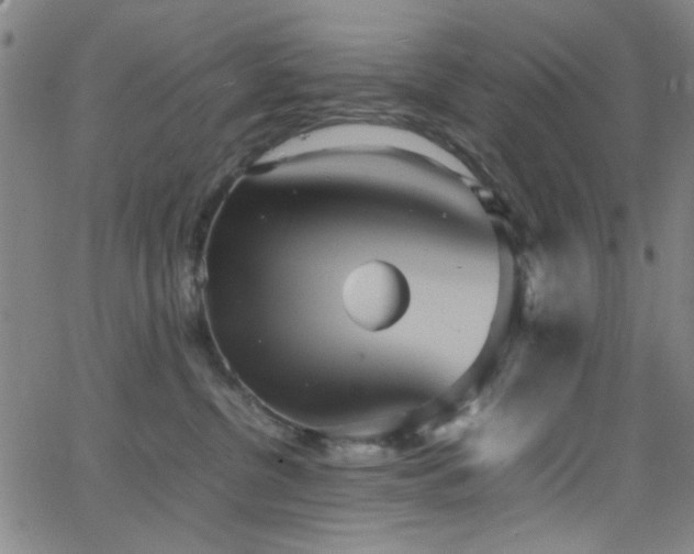 X0000064040380200601271208