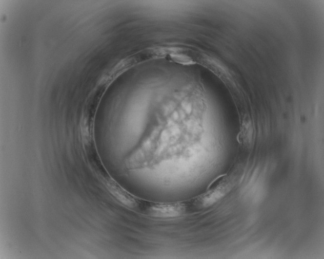 X0000064040381200601271208