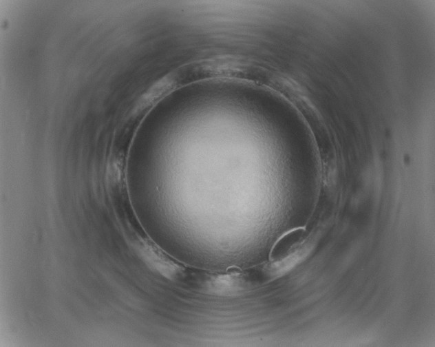 X0000064040382200601271208