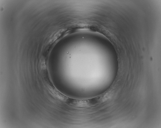 X0000064040384200601271208