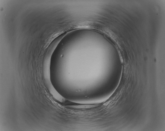 X0000064040385200601271207