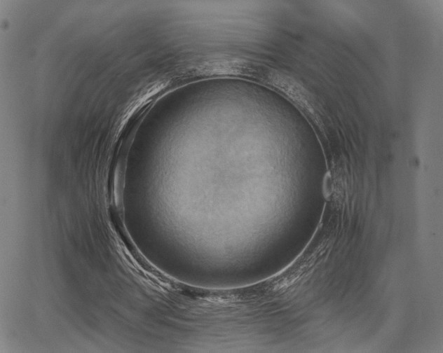 X0000064040386200601271207