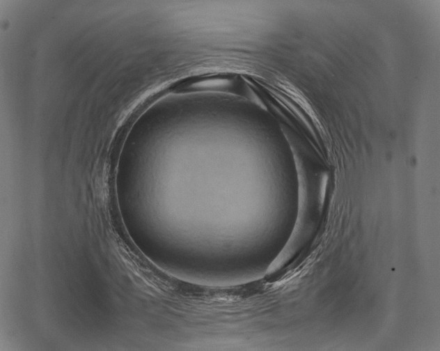 X0000064040387200601271207