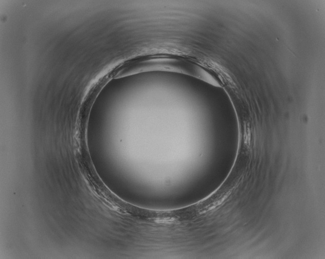 X0000064040388200601271207