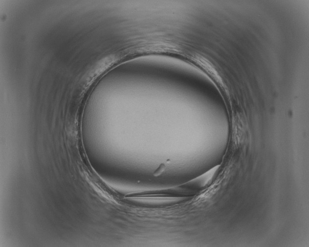 X0000064040389200601271207