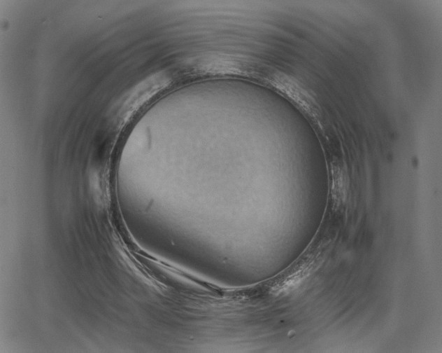 X0000064040390200601271207