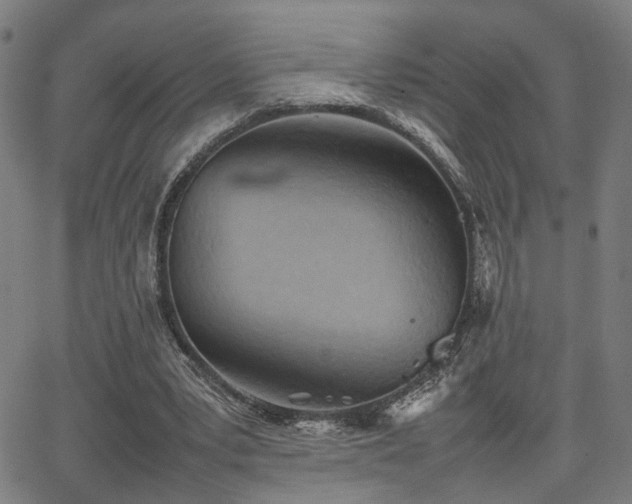 X0000064040391200601271207