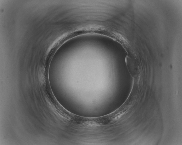 X0000064040392200601271207