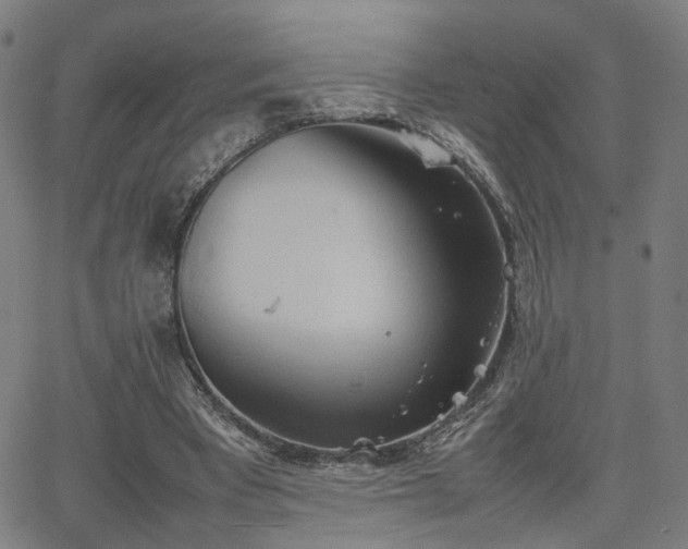 X0000064040393200601271207