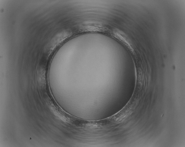 X0000064040394200601271207