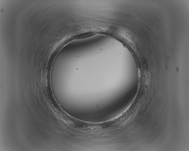 X0000064040395200601271207