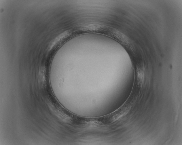 X0000064040396200601271207