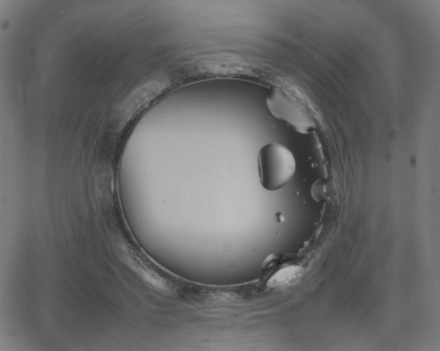 X0000064040397200601271207