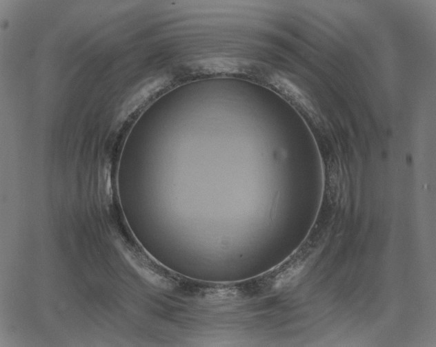 X0000064040398200601271207