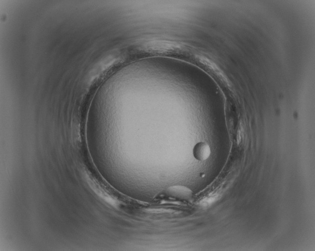 X0000064040399200601271207