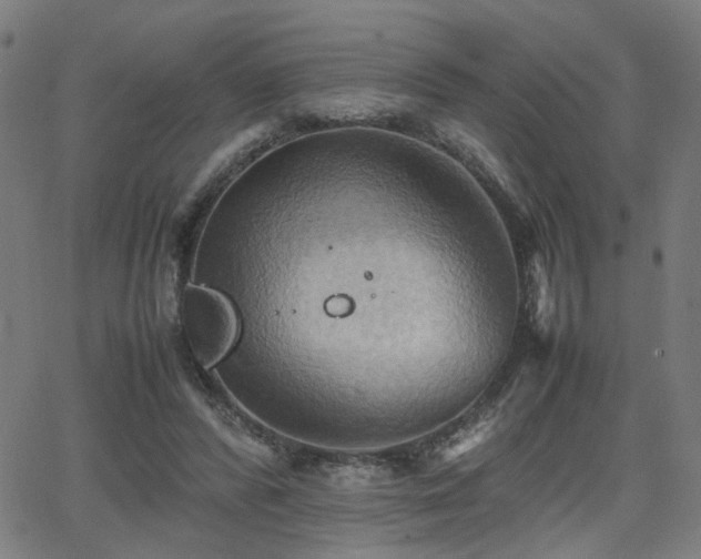 X0000064040400200601271207