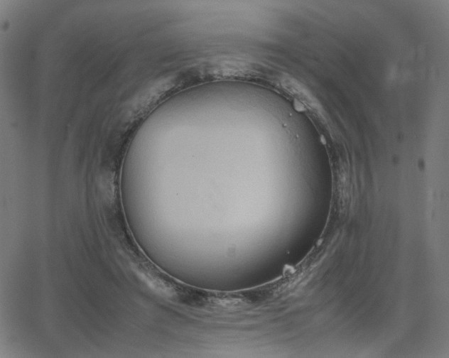 X0000064040401200601271207