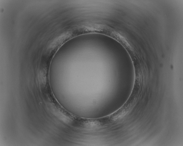 X0000064040402200601271207