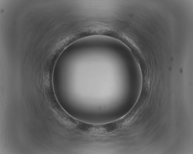 X0000064040403200601271207