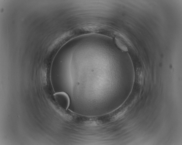 X0000064040404200601271207