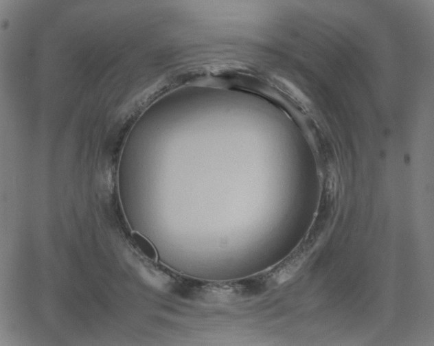 X0000064040405200601271207