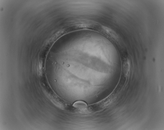 X0000064040406200601271207