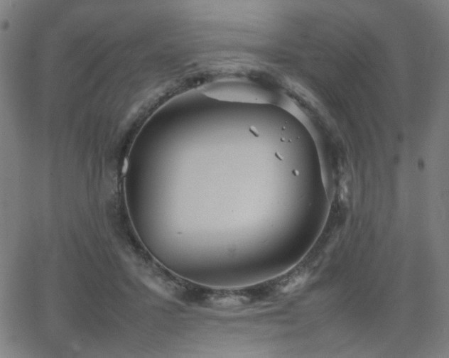 X0000064040407200601271207