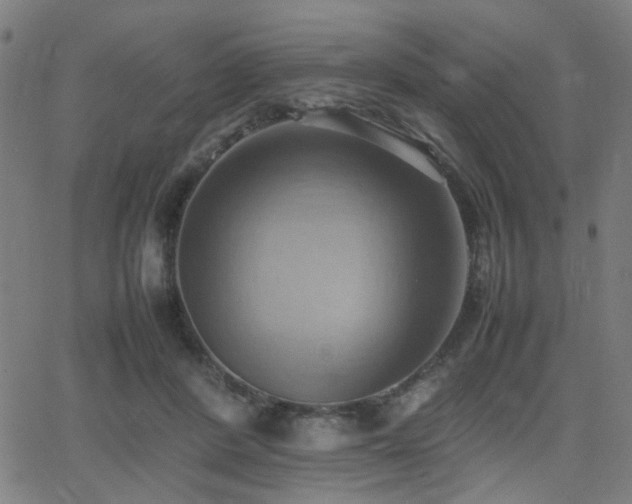 X0000064040408200601271207