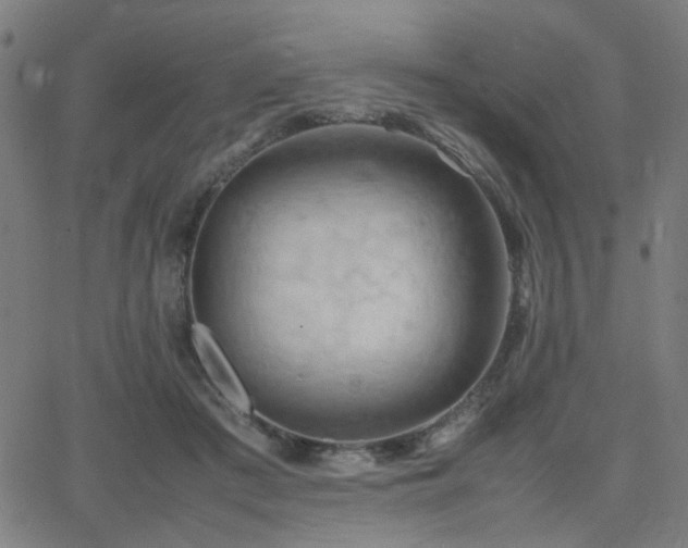 X0000064040409200601271207