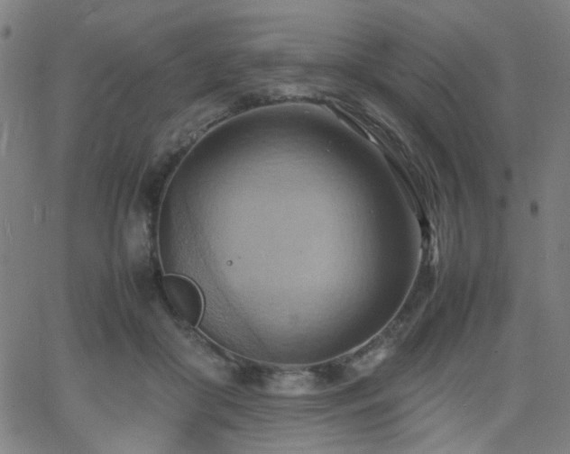 X0000064040410200601271207