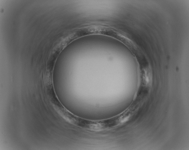 X0000064040411200601271207