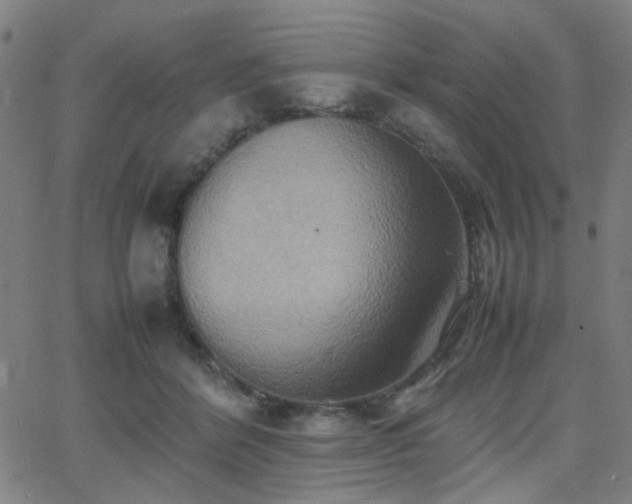 X0000064040412200601271207