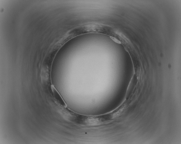 X0000064040413200601271207