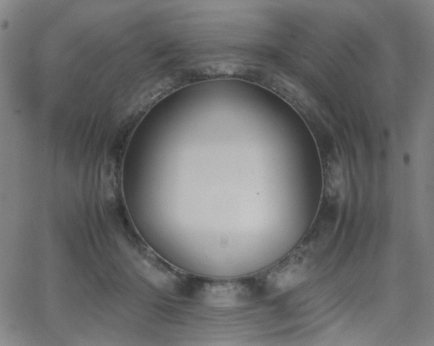 X0000064040414200601271207