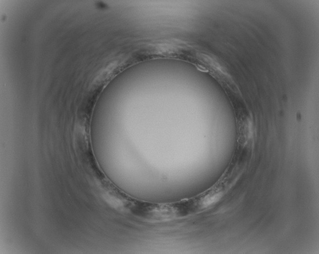 X0000064040415200601271207