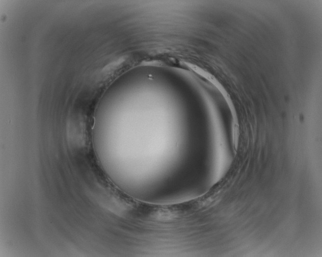 X0000064040416200601271207