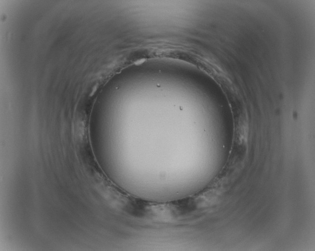 X0000064040417200601271207