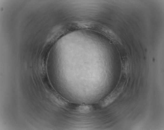 X0000064040418200601271207