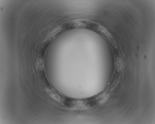 X0000064040419200601271207