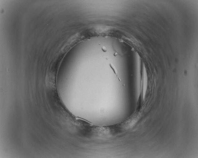 X0000064040421200601271207