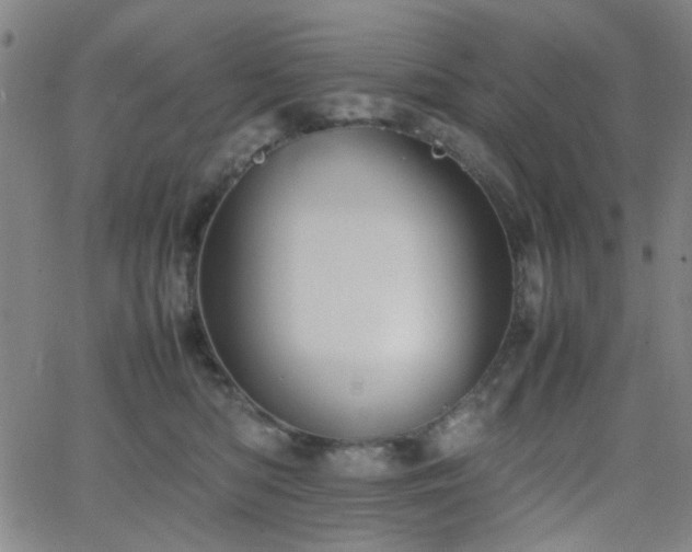 X0000064040422200601271207