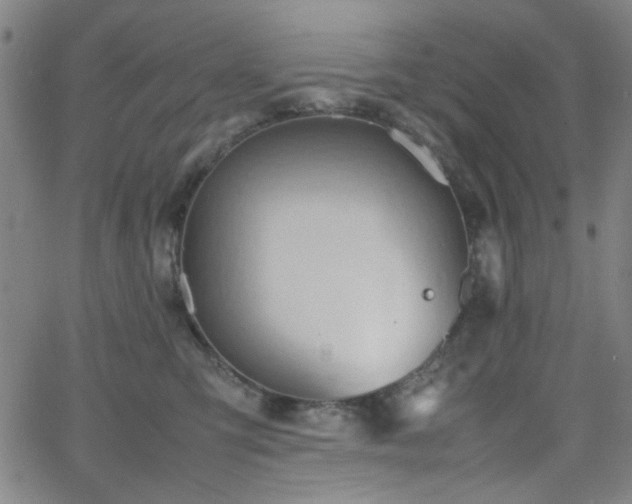 X0000064040423200601271207