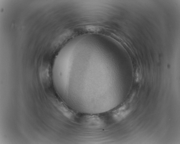 X0000064040424200601271207