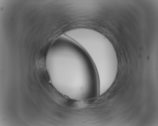 X0000064040425200601271207