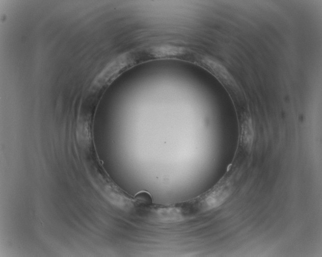 X0000064040426200601271207